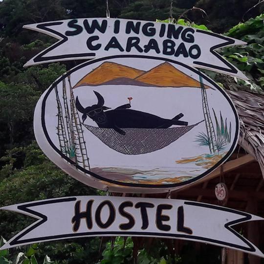 Swinging Carabao Hostel El Nido Extérieur photo
